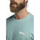 Чоловіча футболка Jack Wolfskin ESSENTIAL T M 1808382_E0180