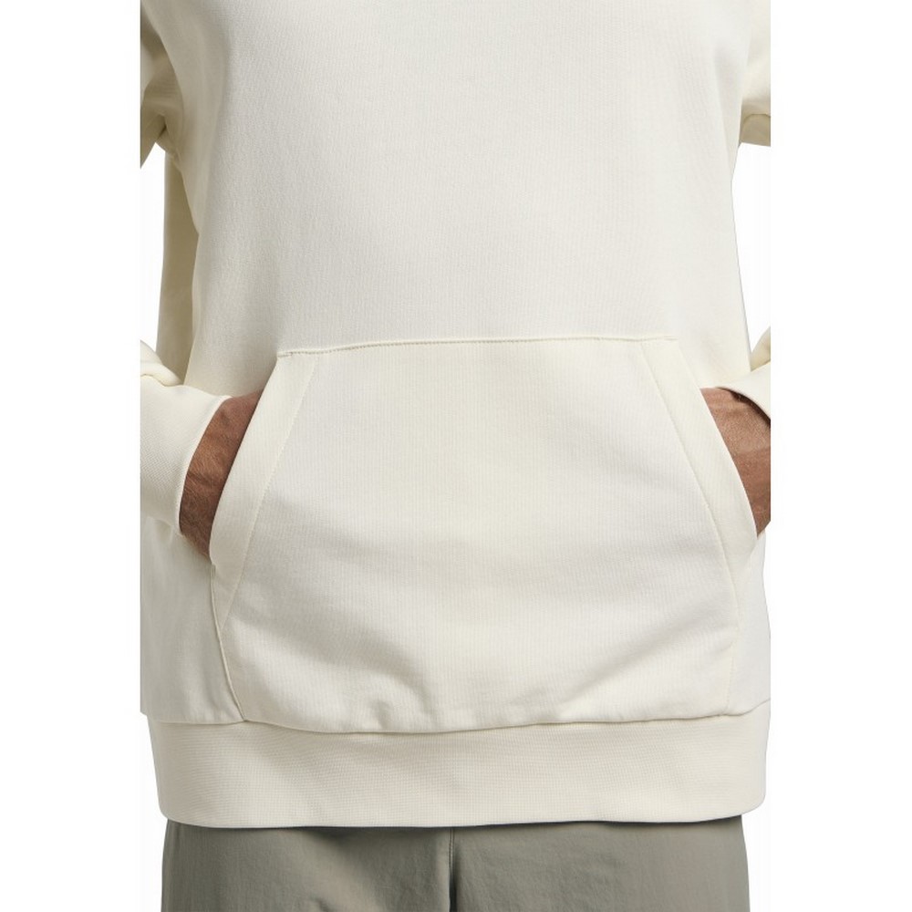Чоловічі худі Jack Wolfskin ESSENTIAL HOODIE M A63872_5127