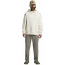 Чоловічі худі Jack Wolfskin ESSENTIAL HOODIE M A63872_5127