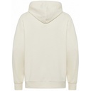 Чоловічі худі Jack Wolfskin ESSENTIAL HOODIE M A63872_5127