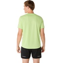 Чоловіча футболка ASICS FUJITRAIL LOGO SS TOP 2011C981-300