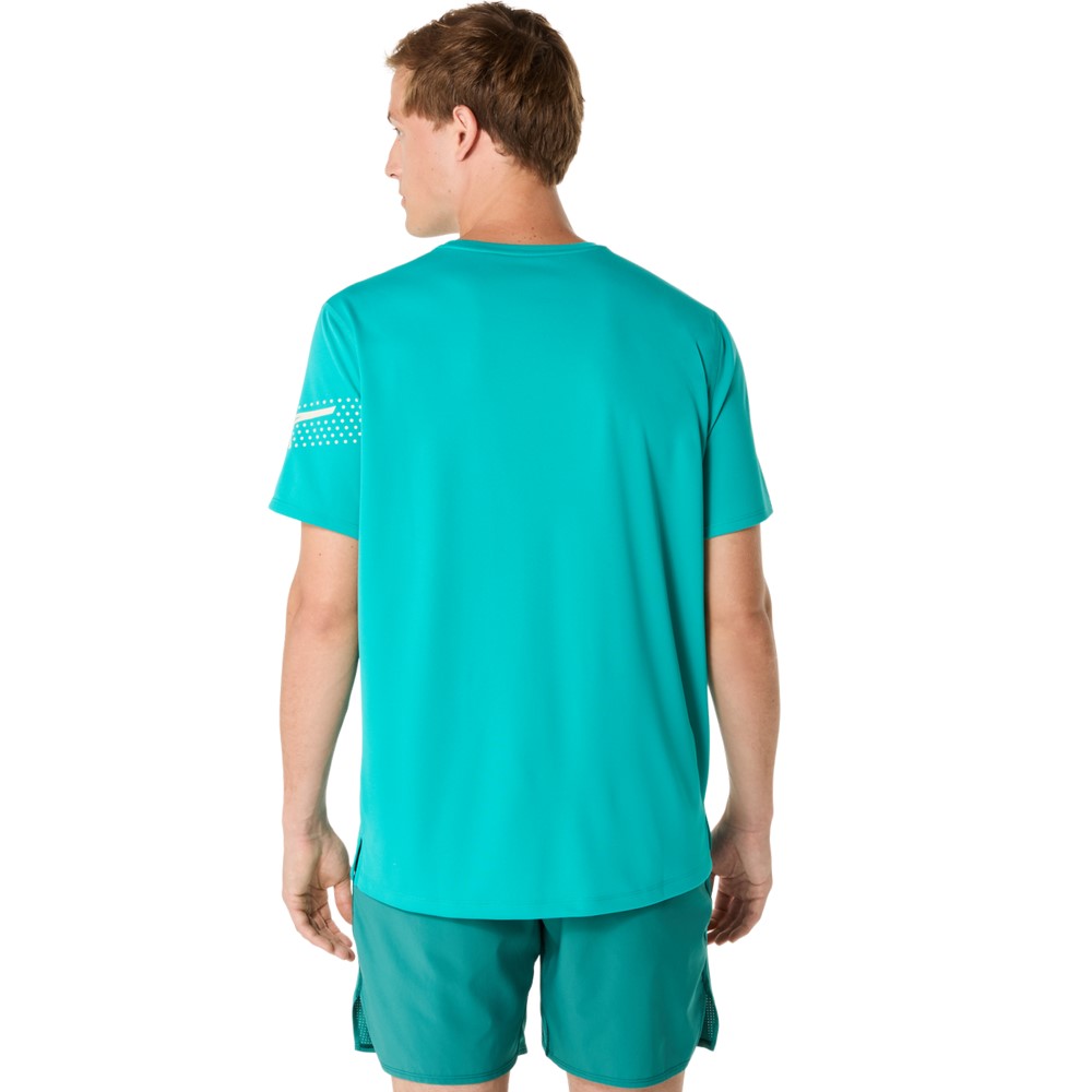 Чоловіча футболка ASICS ICON SS TOP 2011D239-401