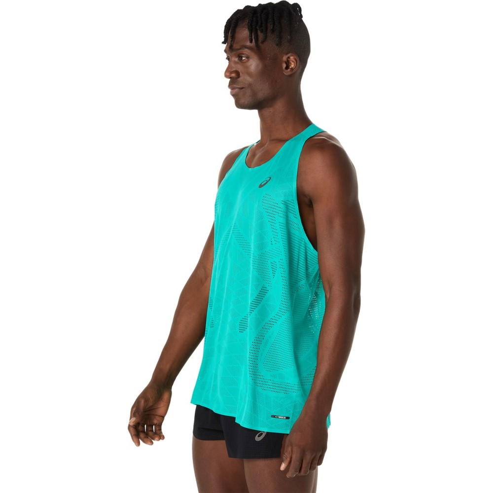 Чоловіча футболка ASICS METARUN SINGLET 2011D287-400