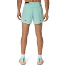 Чоловічі шорти ASICS METARUN 5IN SHORT 2011C978-300