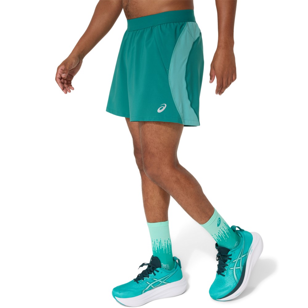 Чоловічі шорти ASICS ROAD 5 IN SHORT 2011D247-301