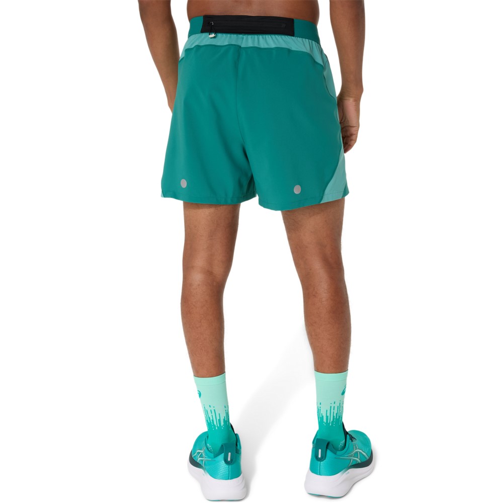 Чоловічі шорти ASICS ROAD 5 IN SHORT 2011D247-301