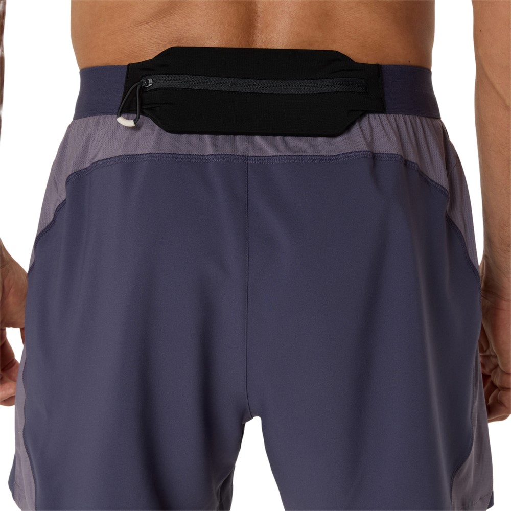 Чоловічі шорти ASICS ROAD 5 IN SHORT 2011D247-500