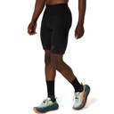 Чоловічі шорти ASICS FUJITRAIL ELITE SPRINTER 2011D267-001