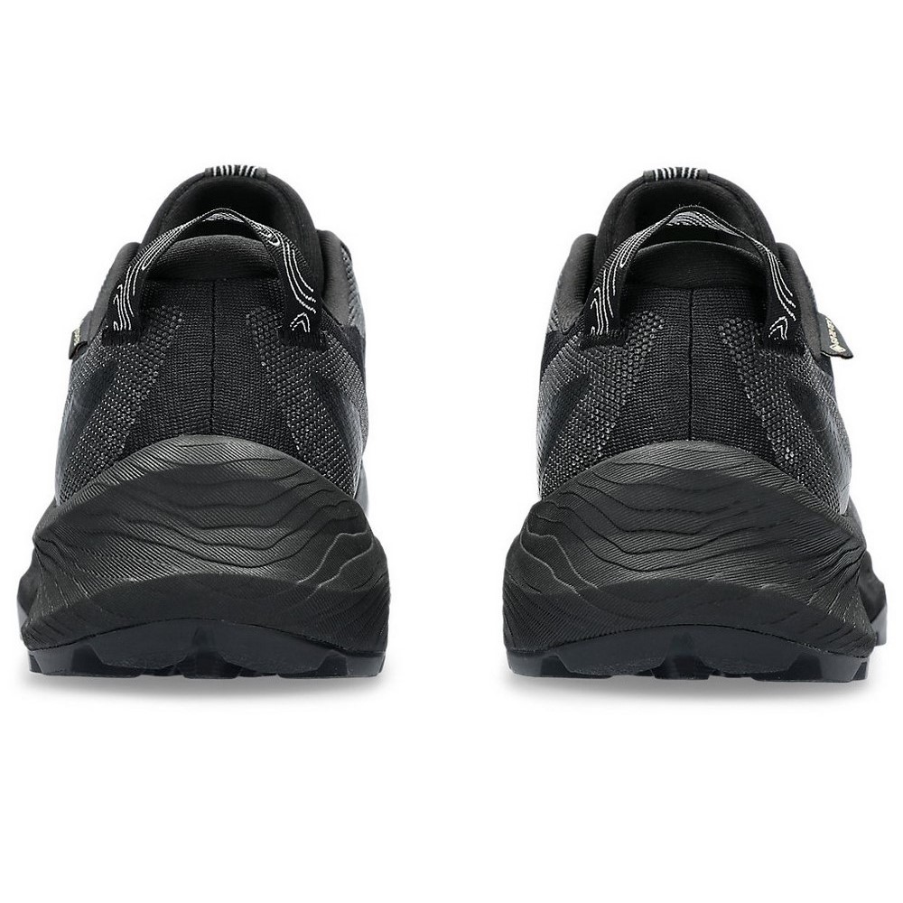 Жіночі бігові кросівки Asics GEL-Trabuco 12 GTX 1012B607-002