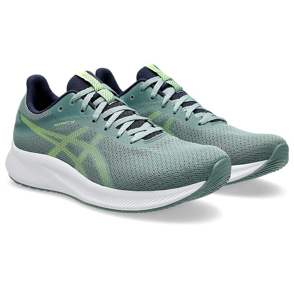 Чоловічі бігові кросівки Asics PATRIOT 13 1011B485-301
