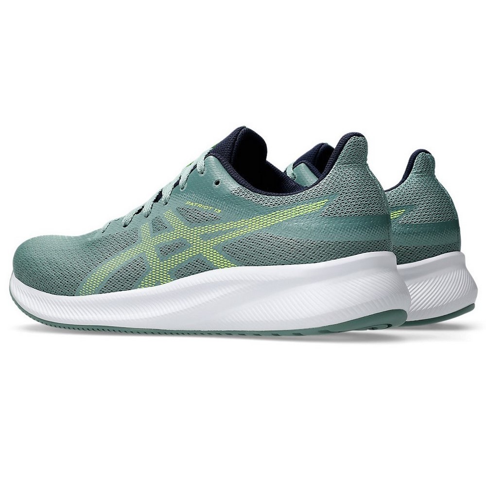 Чоловічі бігові кросівки Asics PATRIOT 13 1011B485-301