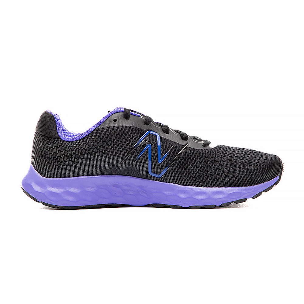 Жіночі кросівки New Balance 520 W520BP8