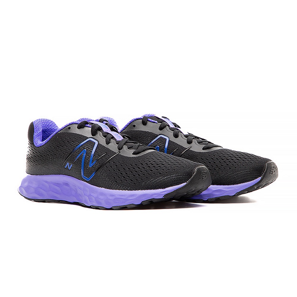 Жіночі кросівки New Balance 520 W520BP8