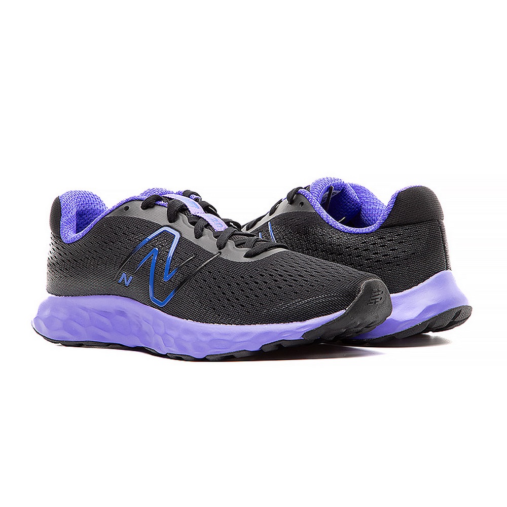 Жіночі кросівки New Balance 520 W520BP8