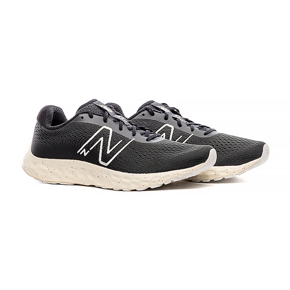 Жіночі кросівки New Balance 520 W520FB8