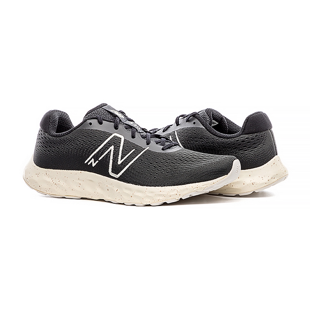Жіночі кросівки New Balance 520 W520FB8