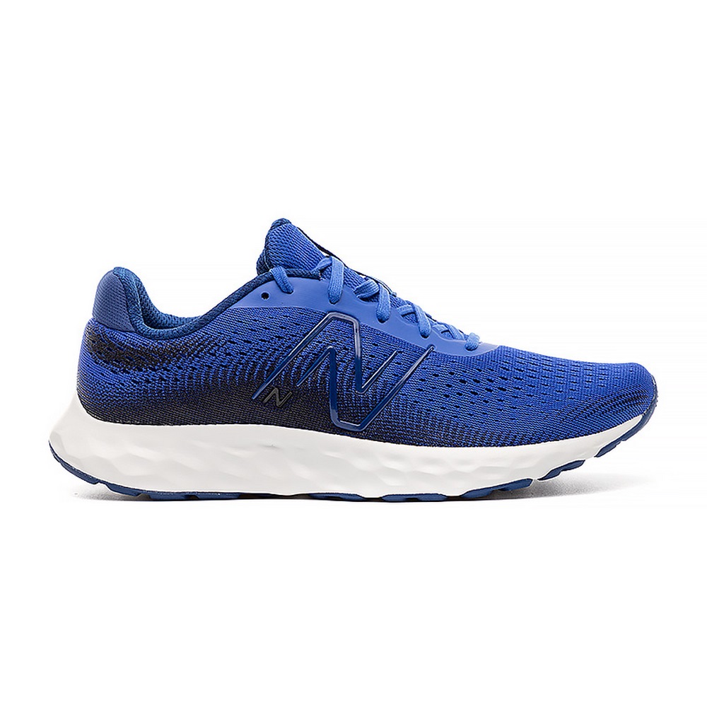 Чоловічі кросівки New Balance 520 M520EB8