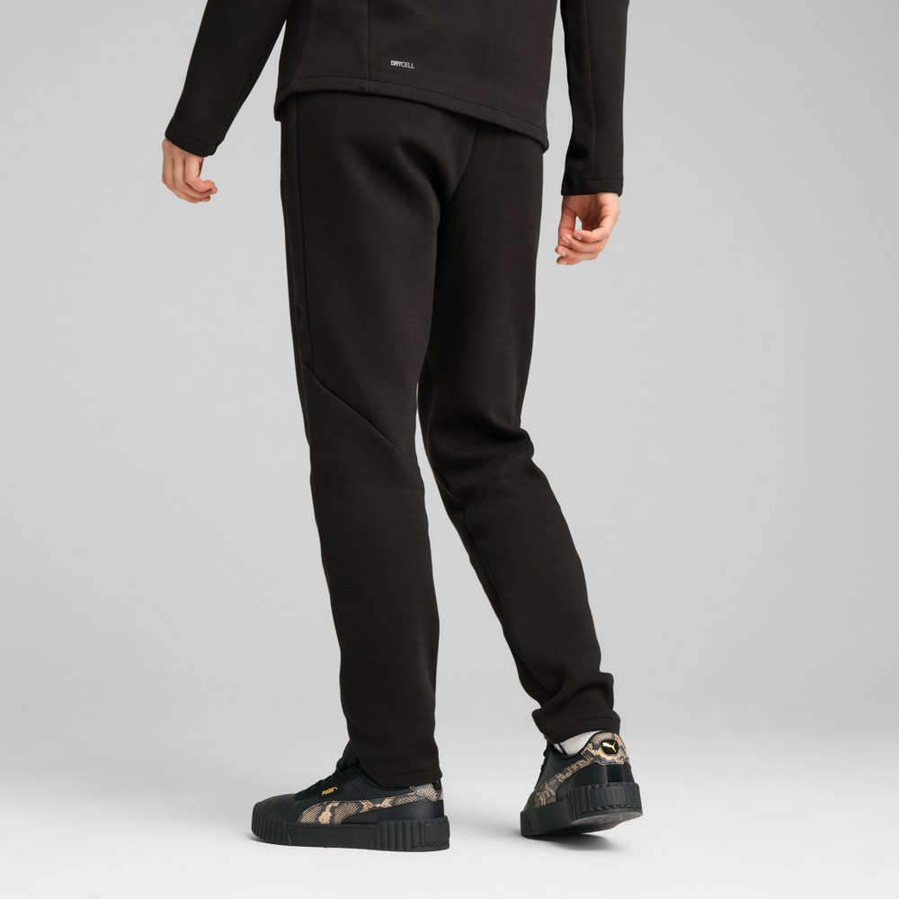 Жіночі штани Puma EVOSTRIPE Sweatpants 685051-01
