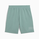 Чоловічі шорти Puma Sport Graphic 9" Shorts 684623-30