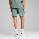 Чоловічі шорти Puma Sport Graphic 9" Shorts 684623-30
