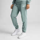 Чоловічі штани Puma Sport Sweatpants 684621-30