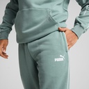 Чоловічі штани Puma Sport Sweatpants 684621-30