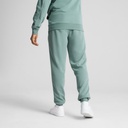 Чоловічі штани Puma Sport Sweatpants 684621-30