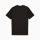 Чоловіча футболка Puma PUMATECH Tee 684598-01