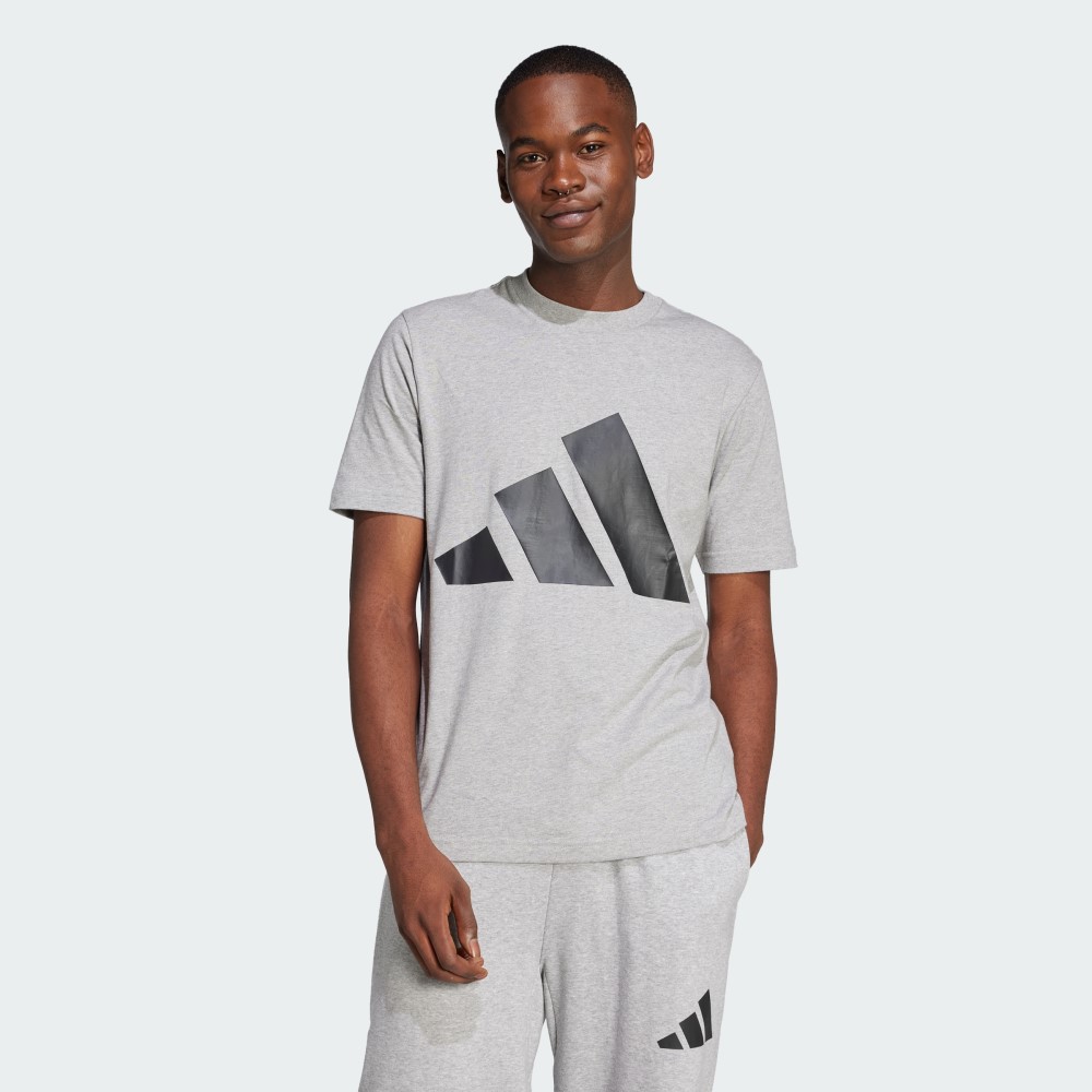 Чоловіча футболка Adidas Essentials Big Logo Sportswear JE8948