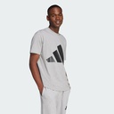 Чоловіча футболка Adidas Essentials Big Logo Sportswear JE8948