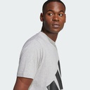 Чоловіча футболка Adidas Essentials Big Logo Sportswear JE8948