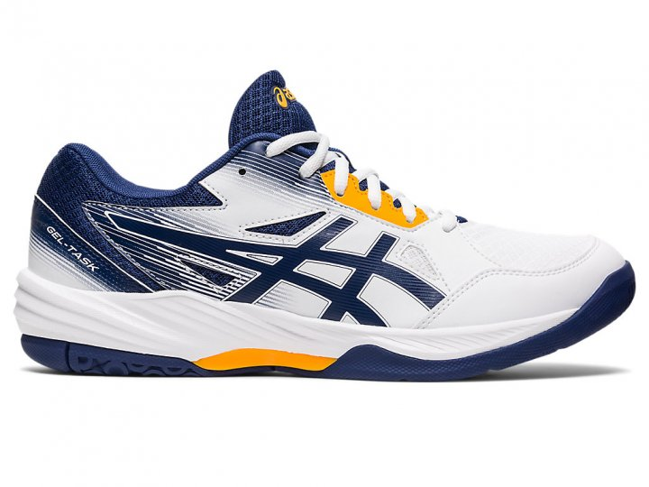 Мужские волейбольные кроссовки ASICS GEL-TASK 3 1071A077-100