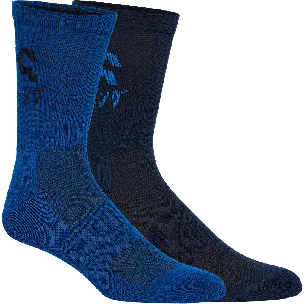 Шкарпетки ASICS 2 PPK KATAKANA SOCK 3013A453 401