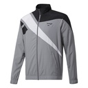 Чоловіча спортивна куртка Reebok CLASSICS VECTOR GL1643
