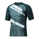 Чоловіча футболка Reebok PRINTED COMPRESSION TOP GL3118