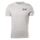 Чоловіча футболка reebok SEASONAL GRAPHIC GS4230