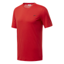 Чоловіча футболка Reebok WORKOUT READY POLYESTER TECH FP9094