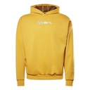 Чоловіче худі Reebok MYT GS9026
