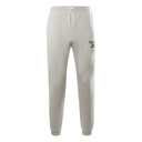 Чоловічі спортивні штани REEBOK IDENTITY VECTOR GS1597