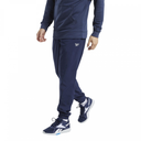 Чоловічі спортивні штани Reebok Te Wvn C Lined Pant FU3103
