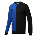 Чоловічий світшот Reebok TE LINEAR LOGO CREW FJ4679