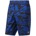 Чоловічі спортивні шорти Reebok WORKOUT READY GRAPHIC FP9086
