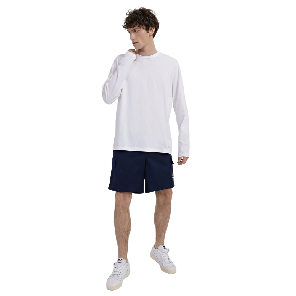 Шорти чоловічі Reebok Classics EJ8780