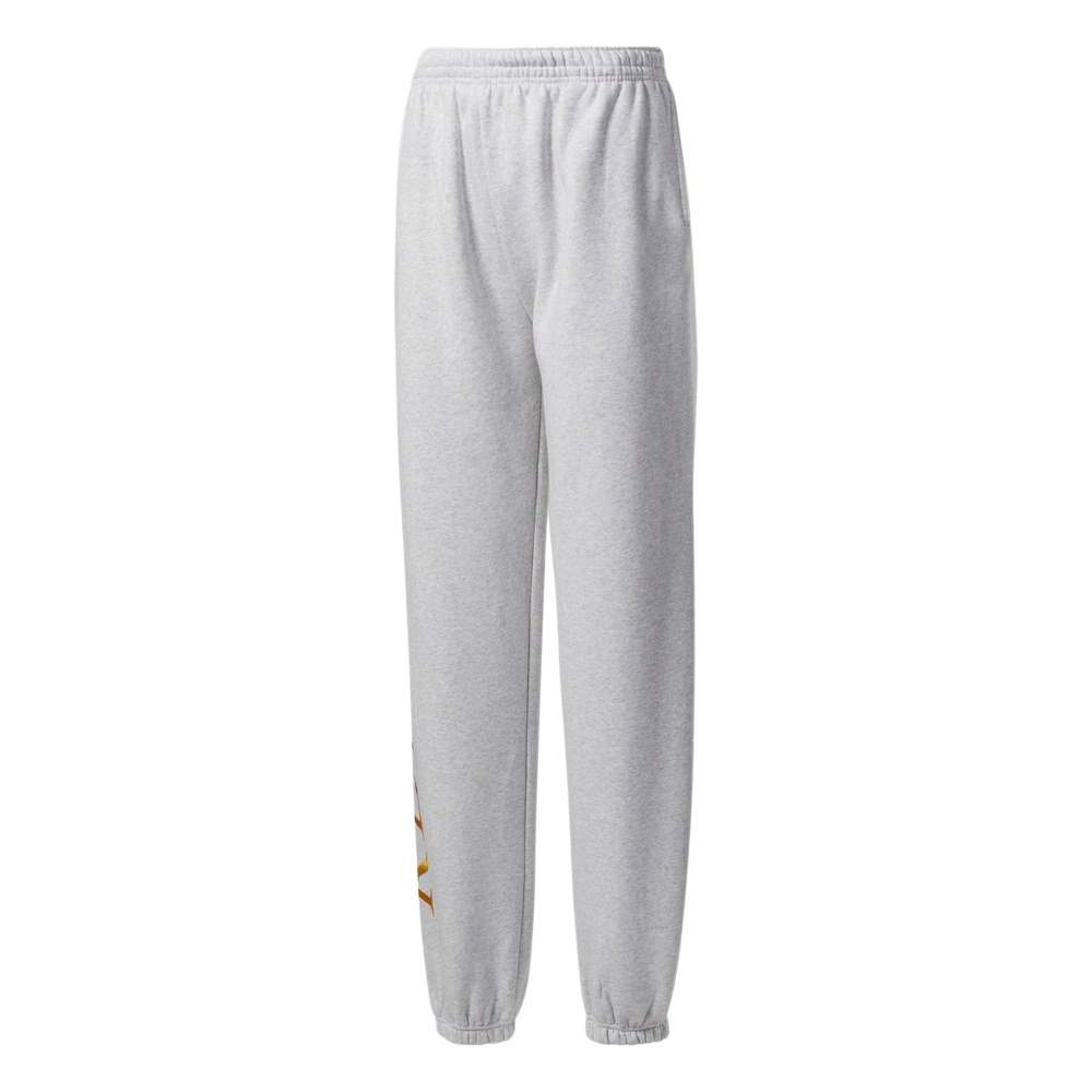 Жіночі джоггери Reebok Classics Graphic Fleece GR0381