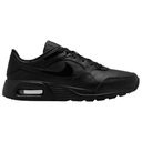 Чоловічі повсякденні кросівки NIKE AIR MAX SC LEATHER DH9636-001