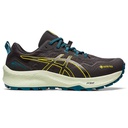 Чоловічі бігові кросівки Asics GEL-Trabuco 11 GTX 1011B608-001