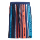 Дитячі шорти для плавання Adidas YA AOP SHORTS FL8717