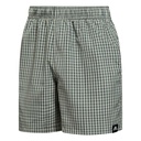 Чоловічі пляжні шорти Adidas Check GQ1110