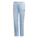Женские штаны Adidas W Windfleece EH6498