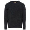 Чоловічий сверт Camel Active Pullover Crewneck 409545-2K23-87